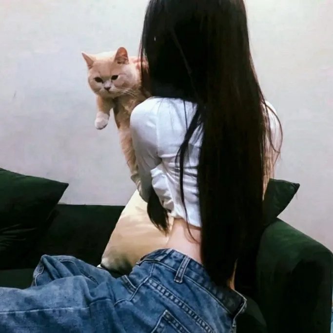 猪八戒吃西瓜